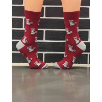 Носки Rainbow Socks -  Racoon